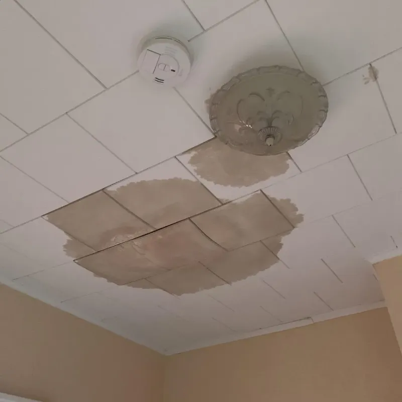 Ceiling Water Damage Repair in Keuka Park, NY