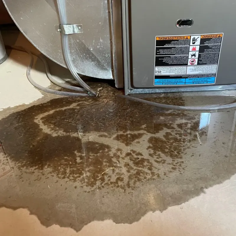 Pipe Burst and Leak Restoration in Keuka Park, NY
