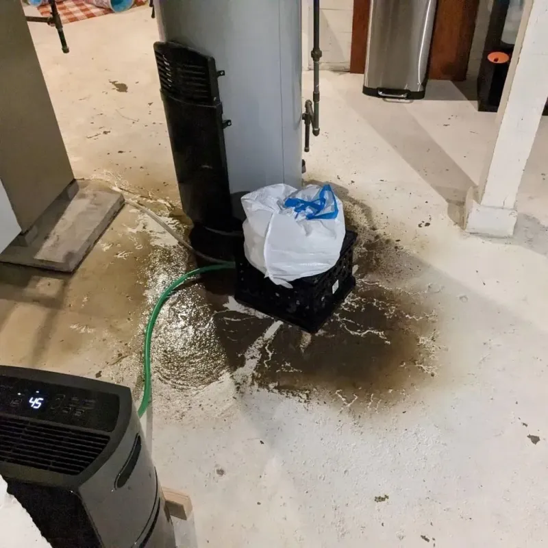 Sewage Backup Cleanup Service in Keuka Park, NY